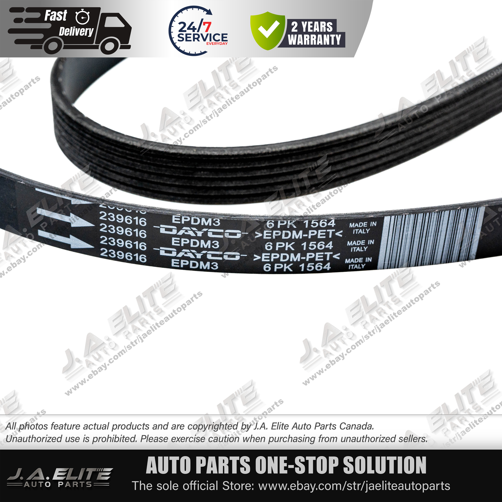 New Genuine Maserati Compressor Serpentine Belt | Quattroporte, GT Part #239616