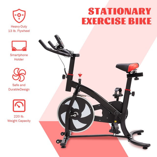 Indoor Cycling Bike Exercise Equipment W Adjustable Seat Handlebar for