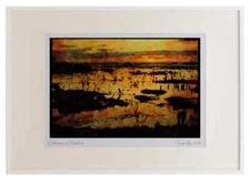 Pacific Coastlines 117029 Laminaria (Sea Weed) At Low Tide, Pigeon Point, CA Wa