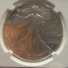 2023 (W) $1 Burnished American Silver Eagle NGC MS70 FDI First Label  022232