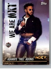 2021 Topps NXT WWE Wrestling Cards Base or Inserts Pick From List