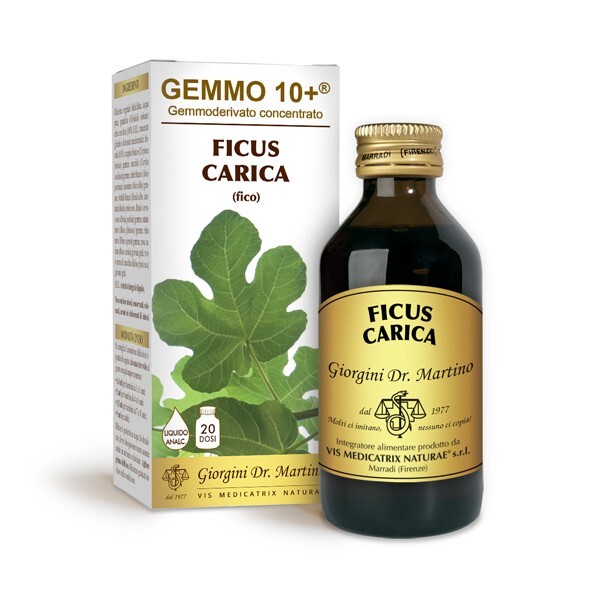 Dr. Giorgini Integratore Alimentare, Fico Gemmoderivato Concentrato Liquido Anal