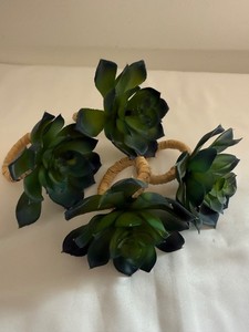 Hobby Lobby Succulent Napkin Rings Set 4