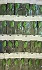 ⭐Craft Clearance⭐ 24 Packs! 288 Artificial Flower Arrangement Leaves Wholesale