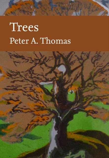 Trees Collins New Naturalist Library by Peter Thomas HARDBACK 9780008304515 - Image 3