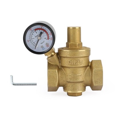 DN25 1'' Brass Adjustable Water Pressure Reducing Regulator Valves With Gauge EP