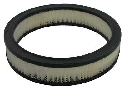 Air Filter Pentius PAB189