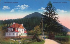 Lotto alla foresta Görbersdorf Sokołowsko Slesia cartolina postale 1916