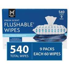Fresh Scent Flushable Wipes 540 Count 9 Packs Hypoallergenic Member's Mark New