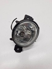 BMW X5 E70 2008 Nebelscheinwerfer vorne 63177184317 VNA1846