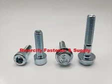 (100) M6-1.0x20 Socket Head Cap Screws & (100) M6-1.0x30 Flange Bolts