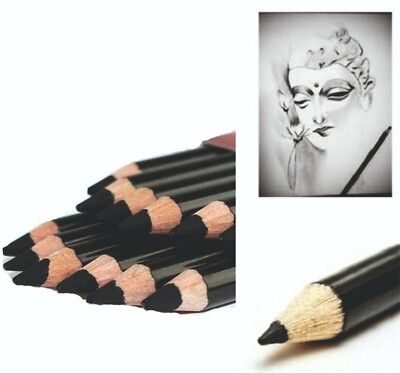 12 Kohlestifte Set | Schattierung Zeichnen Skizzieren Aquarell Künstler Kunst