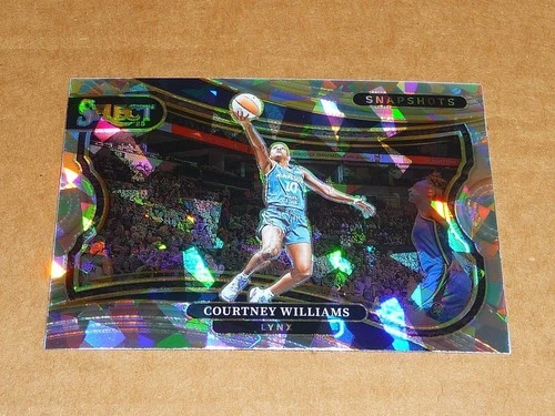 Courtney Williams 2025 Panini Prizm Courtney Williams #10