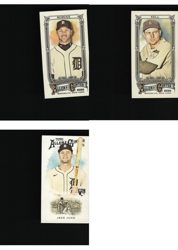 Detroit Tigers Baseball Card 3 Card LOT