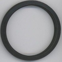Elring Dichtring 027.450