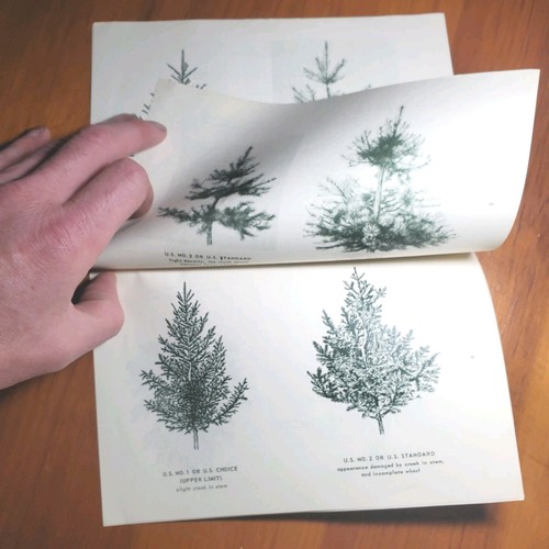 Vintage ALBERI DI NATALE STORIA 1962 US Dipartimento Agricoltura Standard per Gradi - Foto 2 di 4