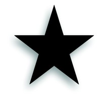 Star 13 Door Or Hood Decal Restore Military Police Mp Marine Jeep Black Star 13 Door Or Hood Decal Restore Military Police Mp Marine Jeep Black