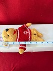 The Disney Store Winnie the Pooh Plush Bean Bag Snowflake Sweater new with tags — photo 9