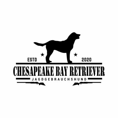 Chesapeake Bay Retriever Aufkleber Auto Hund Jäger Jagd Pointer Sticker Jagdgebr