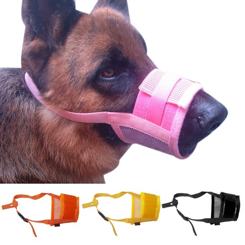 colorful basket muzzle