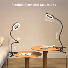 360°Rotatable Lamp Eye-Caring Reading Desk Light 3 Color Modes Reading Desk Lamp
