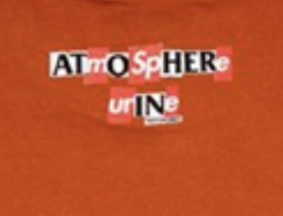 SUPREME ANTIHERO ICE TEE, RUST SIZE MEDIUM FW20 WEEK 14 100