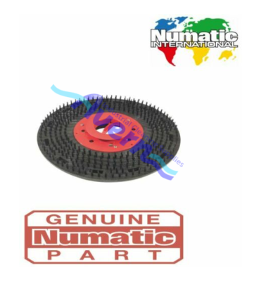 532603_5