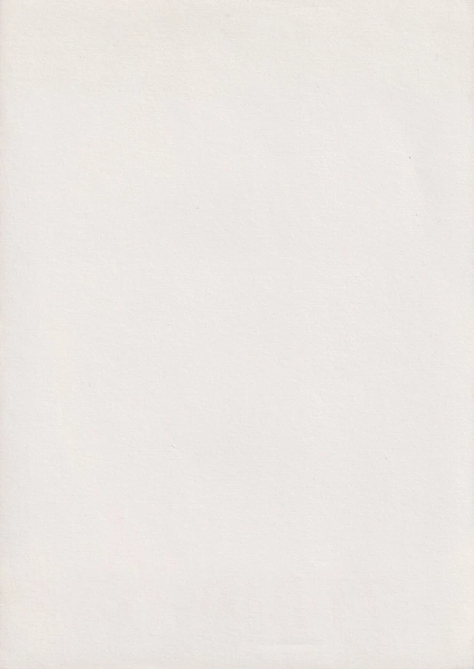 SHARON STONE Original Autogramm signierte Großpostkarte Top Portrait - Bild 2 von 2