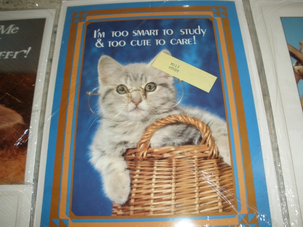 【CAT】　vintage poster Amazon.com: Vintage Funny Cat Wall Art & Decor - Catzilla