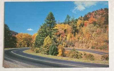 1959 Fall Loop   Over Us 441 Great Smoky Mountains National Park Cline ￼Postcard