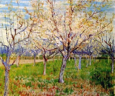 ORCHARD WITH BLOSSOMING APRICOT TREES 1888 PAINTING BY VINCENT VAN GOGH REPRO