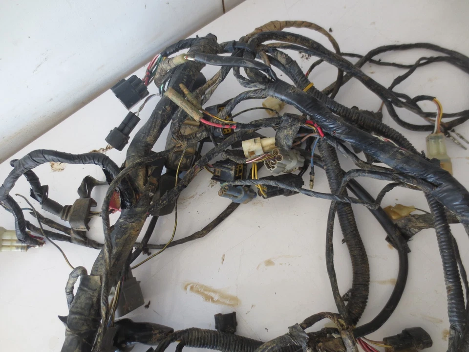 Suzuki Twin Peaks 700 2004 usado OEM cableado principal arnés telar - extremos Foto 2 de 4