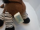 Bild 6 von 7