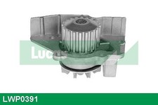 Pompe à eau Rover 200