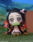 POP MART Demon Slayer - Nezuko Confirmed Opened Box