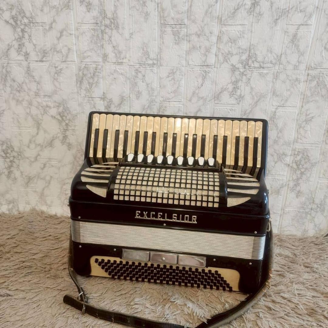 Excelsior Excelsior Made in Italy Accordion Model310 | eBay