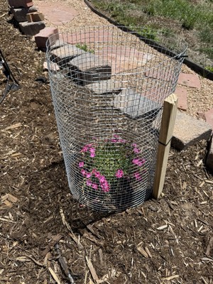 Heavy-Duty Garden Plant Protector Cage   Animal & Pest Barrier (Handmade)