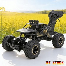 1:16 RC Offroad 15km/h Monster Truck Buggy Auto telecomandata con 25 minuti