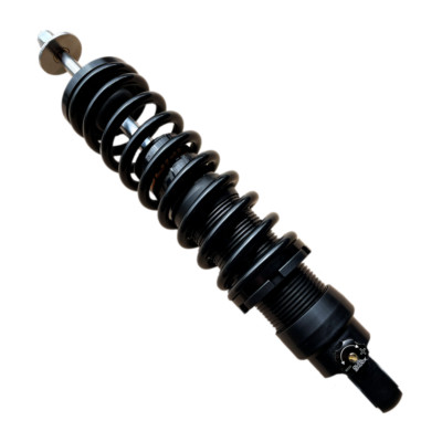 Dual Shock BMW R1100 S Boxer Cup 02-04 vorne schwarz eloxierendes Gewindefahrwerk Protech