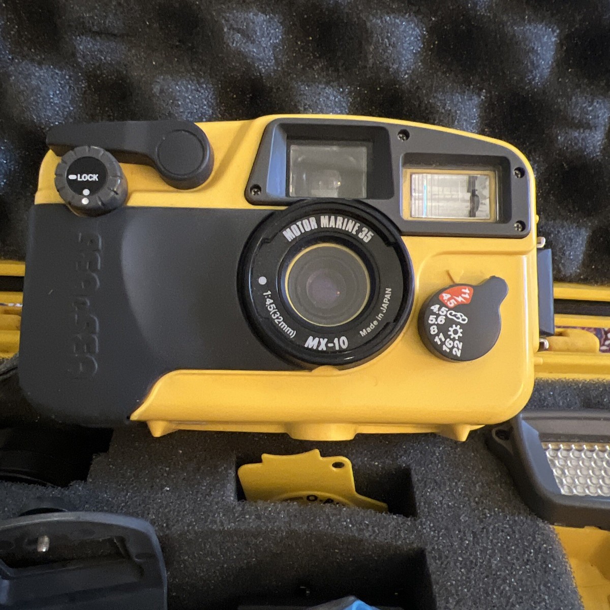 SEA & SEA MX-10 Motor Marine 35 & YS-40A Flash - Underwater SEA & SEA MX-10 Motor Marine 35 & YS-40A Flash - Underwater