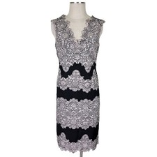 Tahari ASL Lace Mesh Dress Size 14 Sleeveless Back V Neck Above Knee Lined