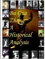 Ba Gua Zhang A Historical Analysis Ben Hill Bey Taschenbuch Englisch 2010