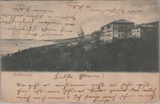 Crikvenica Coastline Houses Croatia 1900s Postcard