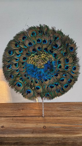 MINT Antique Peacock Feather Hand Fan Double Sided Art Deco Flapper Rare Swirl