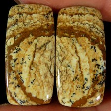 Coppia cuscini diaspro immagine naturale 15,75 ct.100% cabina 10x20x3 mm piet...