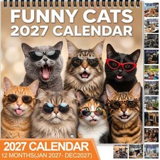 2027 Funny Cats Wall Calendar, 12Month Monthly Hanging Planner, Cute Cat