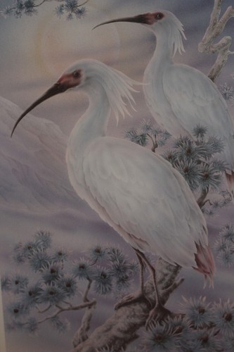 Hand Painted vintage Wall birds print frame for the birds lovers signed - Picture 12 of 12