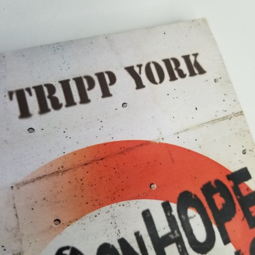 Living on Hope While Living in Babylon :By Tripp York Paperback Book - Bild 4 von 10