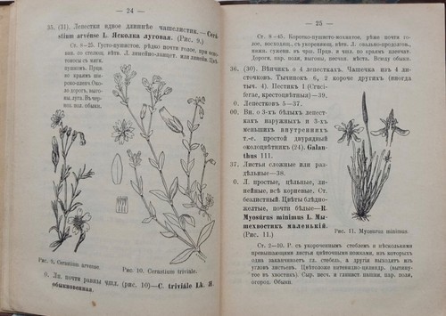 Spring Flora of Central Russia Весенняя Флора Средней России Russia Book 1908 - Picture 9 of 12