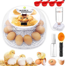 Incubadoras para huevos para incubar, incubadora de 12 huevos